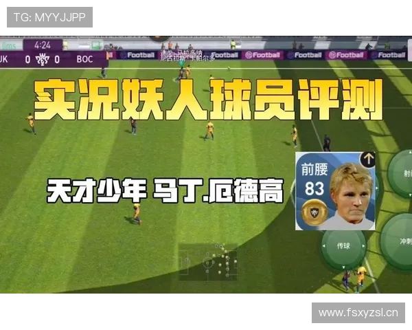 厄德高：从天才少年到成熟核心的荣誉与成长轨迹