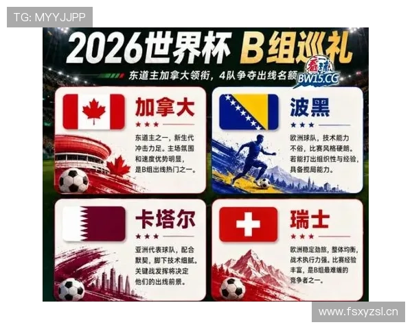 世界杯B组波黑前景全面预测 世界杯B组波黑前景全面预测